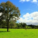 전원목장 이미지