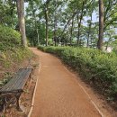 콩밭가인 이미지