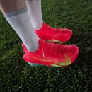 엑스디비 | 🏃 알파 플라이 착용 리뷰 (2편) 기록을 향한 러너의 무기