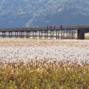 벌교스포츠센터 이미지