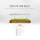 더보스퀘