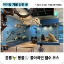 생명의 분출 | 아이와 서울 실내코스🦕 서대문 자연사 박물관 후기