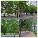 영월-28 | 영월 캠핑 여름휴가, 영월 외룡캠핑장 솔직 후기 — 아이 물놀이 천국
