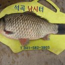석곡낚시터 이미지