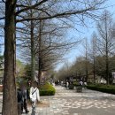 씨유 곡성중앙점 | 전주 동물원 드림랜드 24개월 아기랑 가족여행 솔직 후기