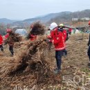 중부-현장-중부-301 이미지