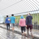 김철환 농장 이미지