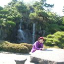 녹차향기 이미지