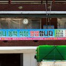 할머니농박 이미지