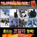 코알라 손난로및 붙이는 핫팩 공동구매 입니다.(12/12일 까지만)~!! 이미지