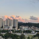 삼일목욕탕 | 자궁근종 복강경 수술 한달차 후기 : 샤워, 빈혈수치, 변비, 복부변화, 배꼽통증 하소연🤦🏻‍♀️