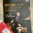 (공연) 정트리오 | 정트리오 콘서트 공연 후기 _ 동해 문화예술회관