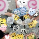 쭈니