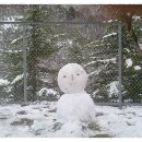 나 대관령왔어 이미지