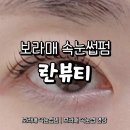 보라매 속눈썹 리뷰 | 란뷰티 속눈썹 펌 후기