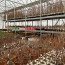 광일농원 이미지