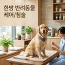 구월한방병원 | 강아지도 침,뜸 맞는다? 반려견 한방동물병원 치료 종류와 치료비용 완벽정리