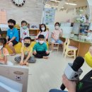 우리집에왜왔니 이미지