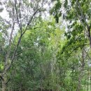 소야리 버스정류장 이미지