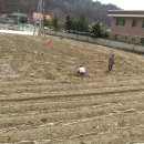 오로라가든 펜션 이미지