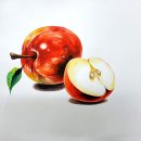 수채화(중급) 이미지