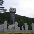 금학로1 이미지