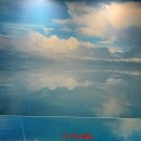 (재)대구오페라하우스 | 연극 센과 치히로의 행방불명 관람 후기