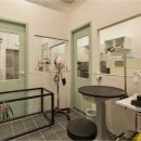 고려 애견 미용실 이미지