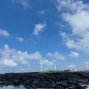 (주)에코도시락 | 윤랑의 데이트❣️/제주도 여행 2일차/김녕해수욕장/아베베비킬라베이커리/에코랜드호텔