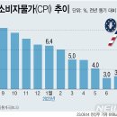 미국 소비자 물가지수 CPI 이미지