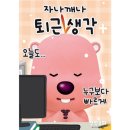 파티마정형외과 이미지