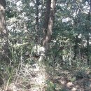 방동LPG충전소 이미지