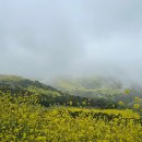 2025.5.3 Chino Hills State Park 이미지