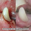 힐링힐스 동물 치과병원 이미지
