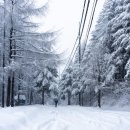 최고의 설경을 만나려면 ... 선자령(仙子嶺)으로~ 알아보기 이미지