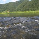 진원반디길마을 영농조합법인 이미지