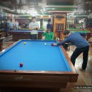 쫑생쫑사 이미지