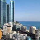 코티스 앰버서더 이미지