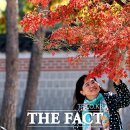 가을 더팩트