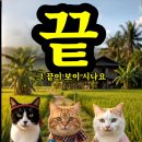 끝 이라는 말 이미지