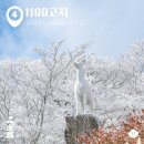 영실 1100고지 화장실 이미지