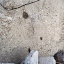 남해-312 이미지