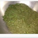 김종성 농장 이미지