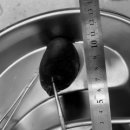 24시 위너스동물의료센터 이미지