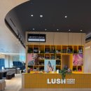 신라세탁소 이미지