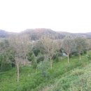 할티선녀탕 이미지