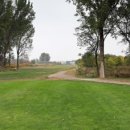 글로리아골프 이미지