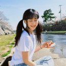 설레나봄