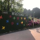 느티나무야영장 이미지