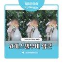 금요 POP 디자이너 과정 | 파스텔무비 Popcorn(팝콘) 가성비 식전영상 추천 | 2만원으로 결혼식 퀄리티 끌어올리기